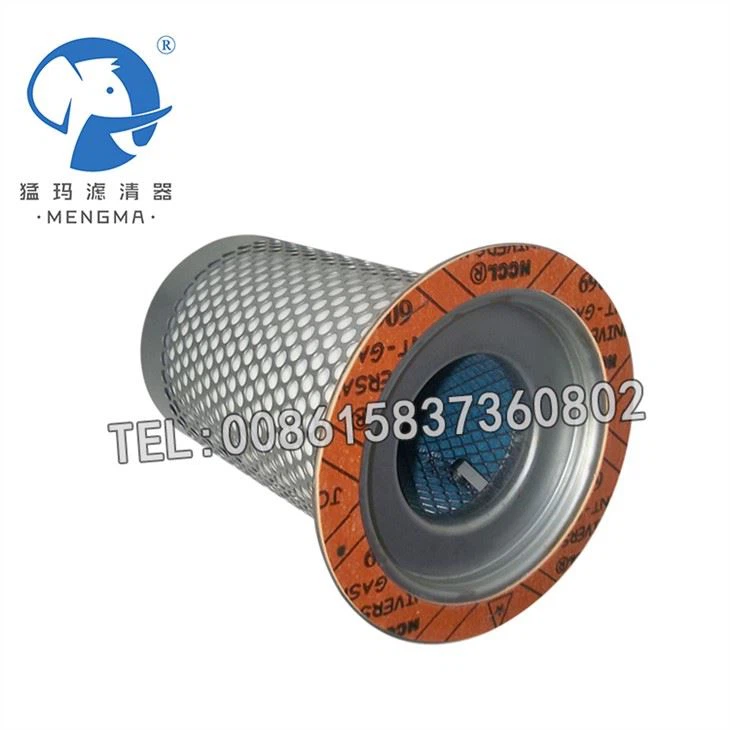 36004040